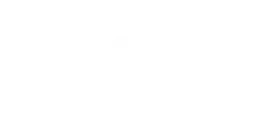 nexi